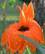 IMG_3976 v (2).webp