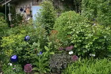 Juni  0619.webp