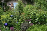 Juni  0619.JPG