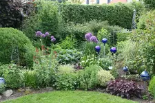 Juni  1019.webp