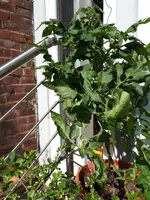 20200609_165345.jpg