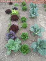 IMG_20200605_174652.jpg IMG_20200605_174652.jpg