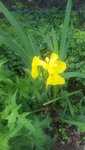 20200605_132428.jpg