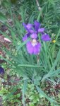 20200605_132240.jpg