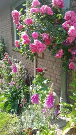 20200608_163550.webp