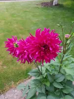 20200610_194248.webp