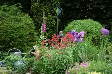 Juni   1320.webp