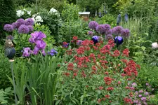 Juni   1420.webp