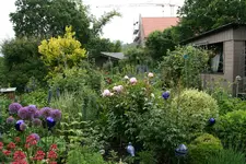 Juni   2220.webp