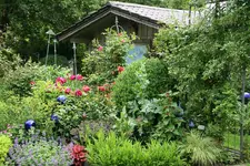 Juni   2520.webp