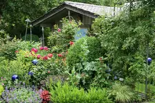 Juni   2620.webp
