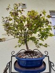 20200611_183744.jpg