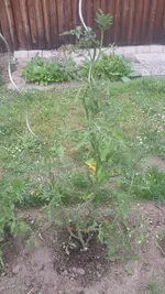 20200611_163841.webp