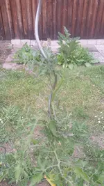 20200611_163847.webp
