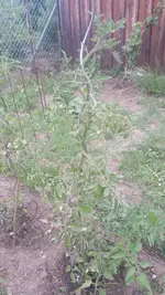 20200611_163859.webp