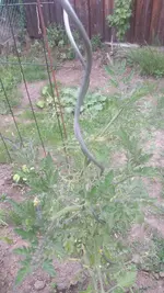 20200611_163945.webp
