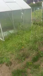 20200611_184149.webp