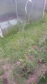 20200611_184217.webp