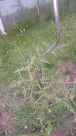 20200611_184237.webp