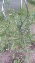 20200611_184326.webp