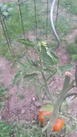20200611_184358.webp