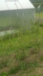 20200611_184426.webp