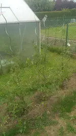 20200611_184429.webp