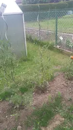 20200611_184435.webp