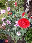 20200610_161008.jpg