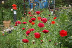 DSC08990.JPG