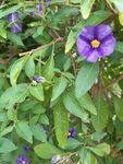 20200612_174525.jpg