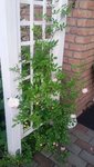 20200612_210121.jpg