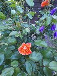 20200610_165714.jpg