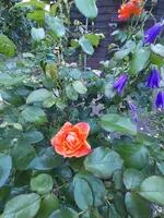 20200610_165714.jpg
