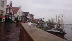 DSC_1192.JPG
