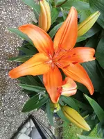 2020-06-13 14.50.53.webp