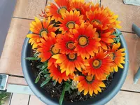 2020-06-13 14.51.53.webp