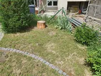 20200613_150946.webp
