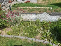 20200613_151035.webp