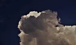 2020hmml12.webp