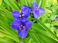 DSCF3661 (2).webp