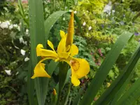 DSCF3640.webp
