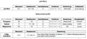 Rasenanalyse.webp