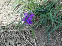 IMG_20190526_084626.webp