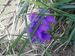 IMG_20190526_084628.jpg