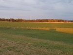 20200613_212201.jpg