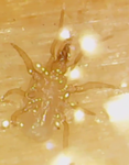 2020-06-13-222250_479x615_scrot.png
