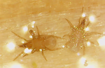 2020-06-13-222254_1134x726_scrot.png