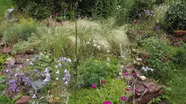 steingarten (5).webp
