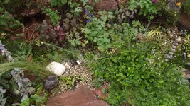 steingarten (7).webp